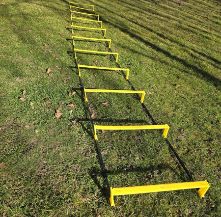 Scarita agilitate cu obstacole, 10 pasi [2]