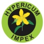 Hypericum