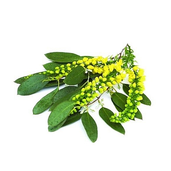 Calmotusin fara zahar, 20 bomboane - Dacia Plant [4]