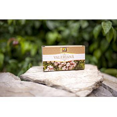 Ceai valeriana, 1.5 g 20 plicuri - Stefmar