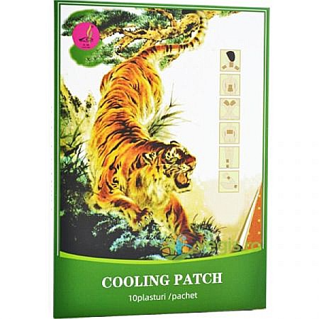 Dispozitive Medicale - Plasturi Antireumatici, 10 bucati – China Naturalia