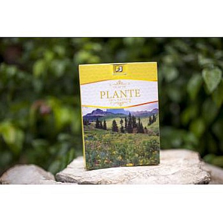 Ceaiuri - Ceai albastrele, 30 g - Stefmar