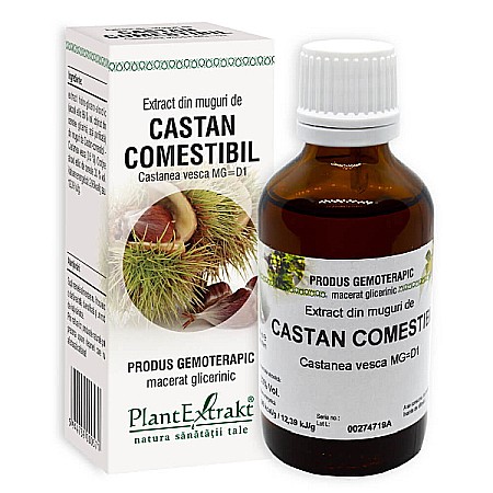 Tincturi si Gemoderivate - Extract din muguri de castan comestibil - Castanea vesca, 50 ml - PlantExtrakt