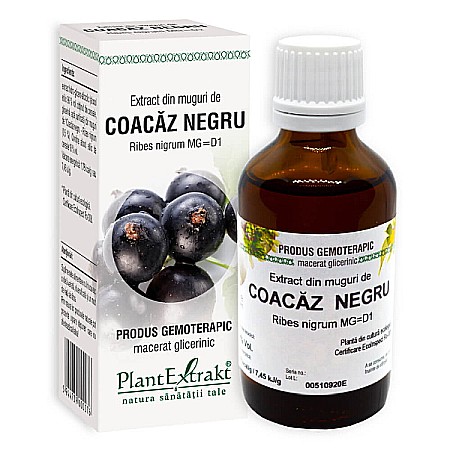 Tincturi si Gemoderivate - Extract din muguri de coacaz negru - Ribes nigrum, 50 ml - PlantExtrakt