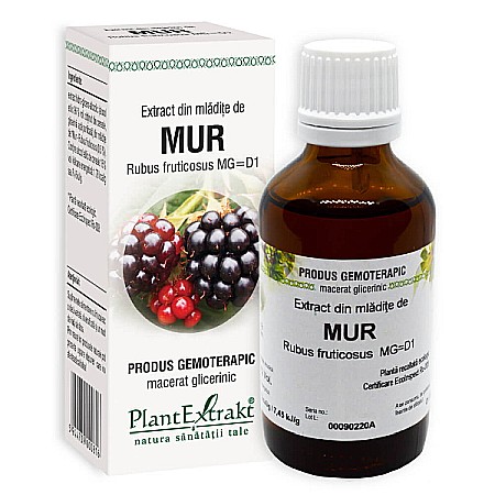 Tincturi si Gemoderivate - Extract din mladite de mur - Rubus fructicosus, 50 ml - PlantExtrakt