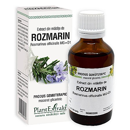 Tincturi si Gemoderivate - Extract din mladite de rozmarin - Rosmarinus officinalis, 50 ml - PlantExtrakt