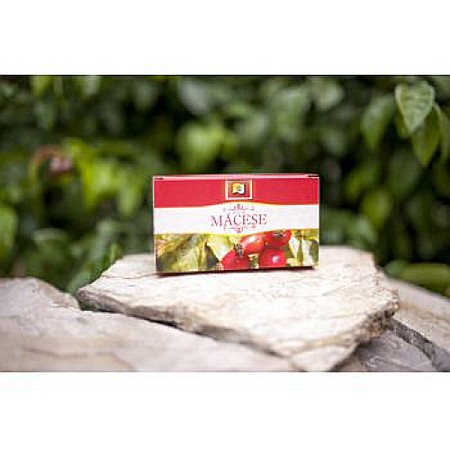 Ceai macese, 2 g 20 plicuri - Stefmar