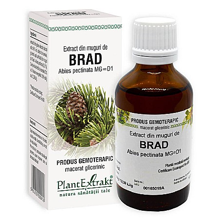 Tincturi si Gemoderivate - Extract din muguri de brad - Abies pectinata, 50 ml - PlantExtrakt