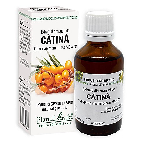 Tincturi si Gemoderivate - Extract din muguri de catina, 50 ml - PlantExtrakt
