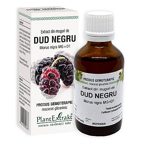 Tincturi si Gemoderivate - Extract din muguri de dud negru - Morus nigra, 50 ml - PlantExtrakt
