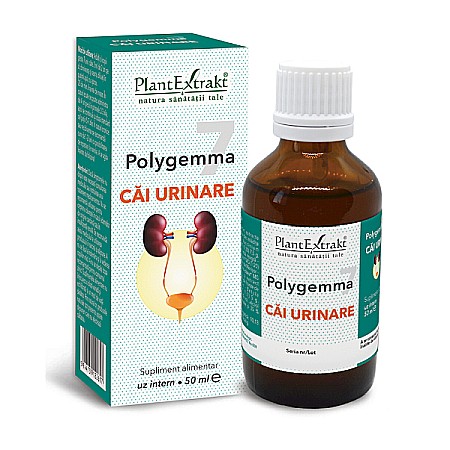 Tincturi si Gemoderivate - Polygemma nr. 7 - Cai urinare, 50 ml - PlantExtrakt