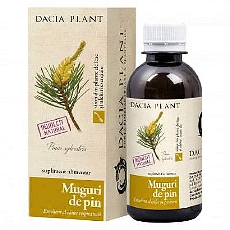 Sirop muguri pin, 200 ml - Dacia Plant