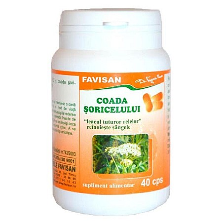 Digestie - Coada Soricelului, 40 capsule - Favisan