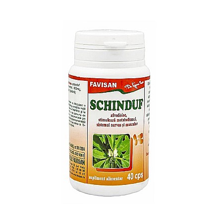 Colesterol si Trigliceride - Schinduf, 40 capsule - Favisan