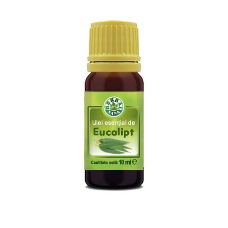 Uleiuri Esentiale - Ulei esential de Eucalipt, 10 ml, Herbavit