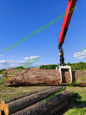 Graifer busteni Epsilon FG53SV [3]