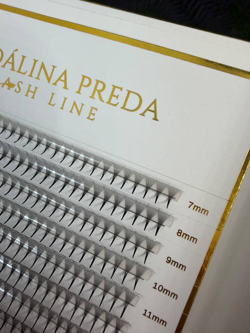 Premade 10D Narrow XL | 600 fans [3]