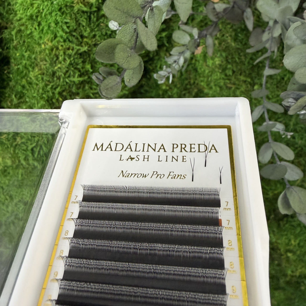 Premade U 2D | C | Dublat [2]