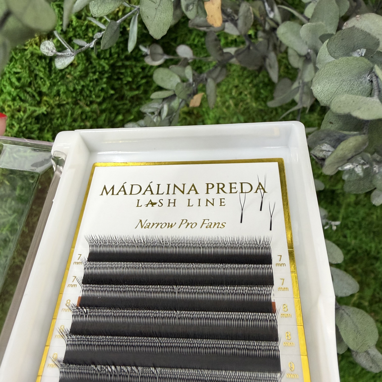 Premade U 2D | L | Dublat [2]