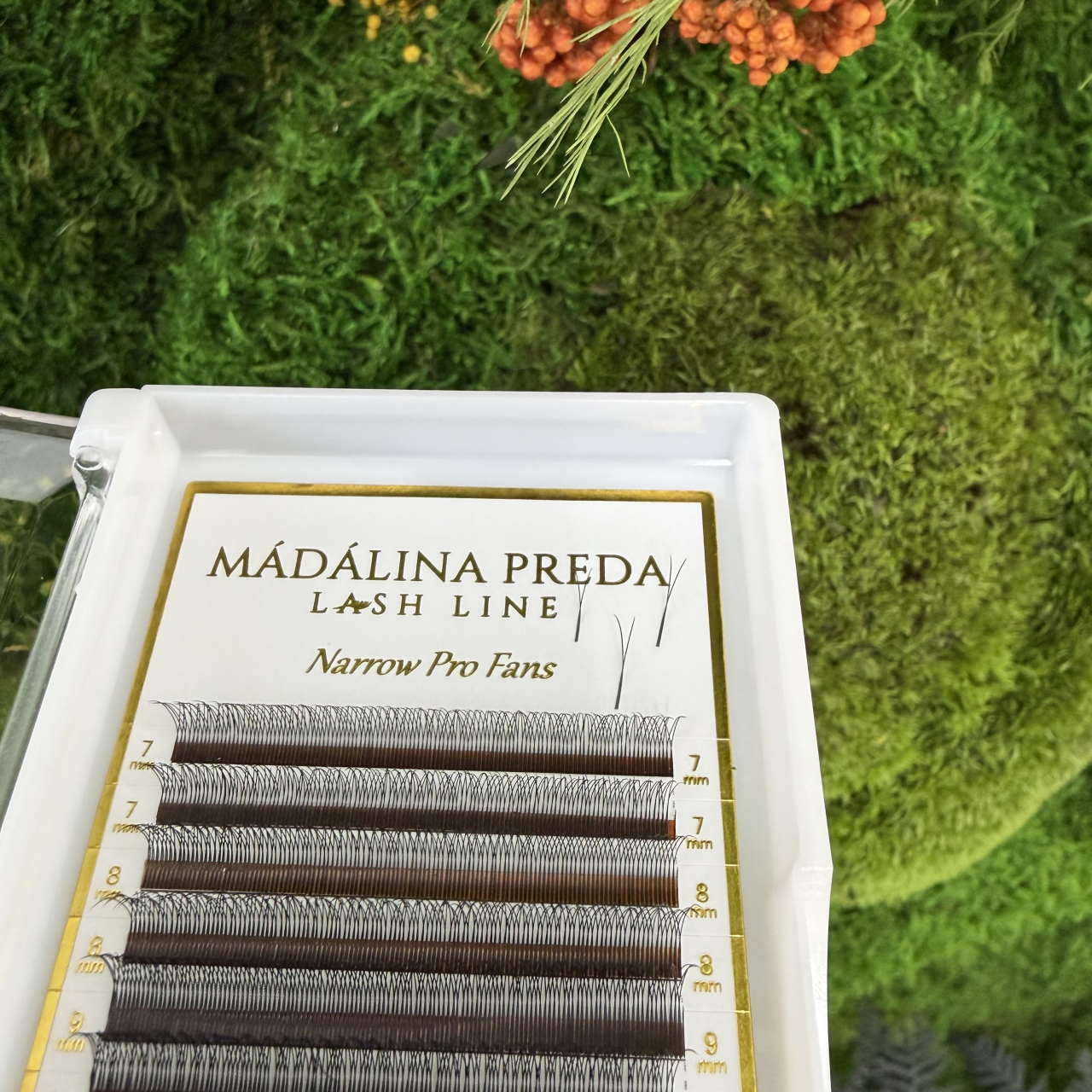 Premade Y 2D | C | Nedublat [2]