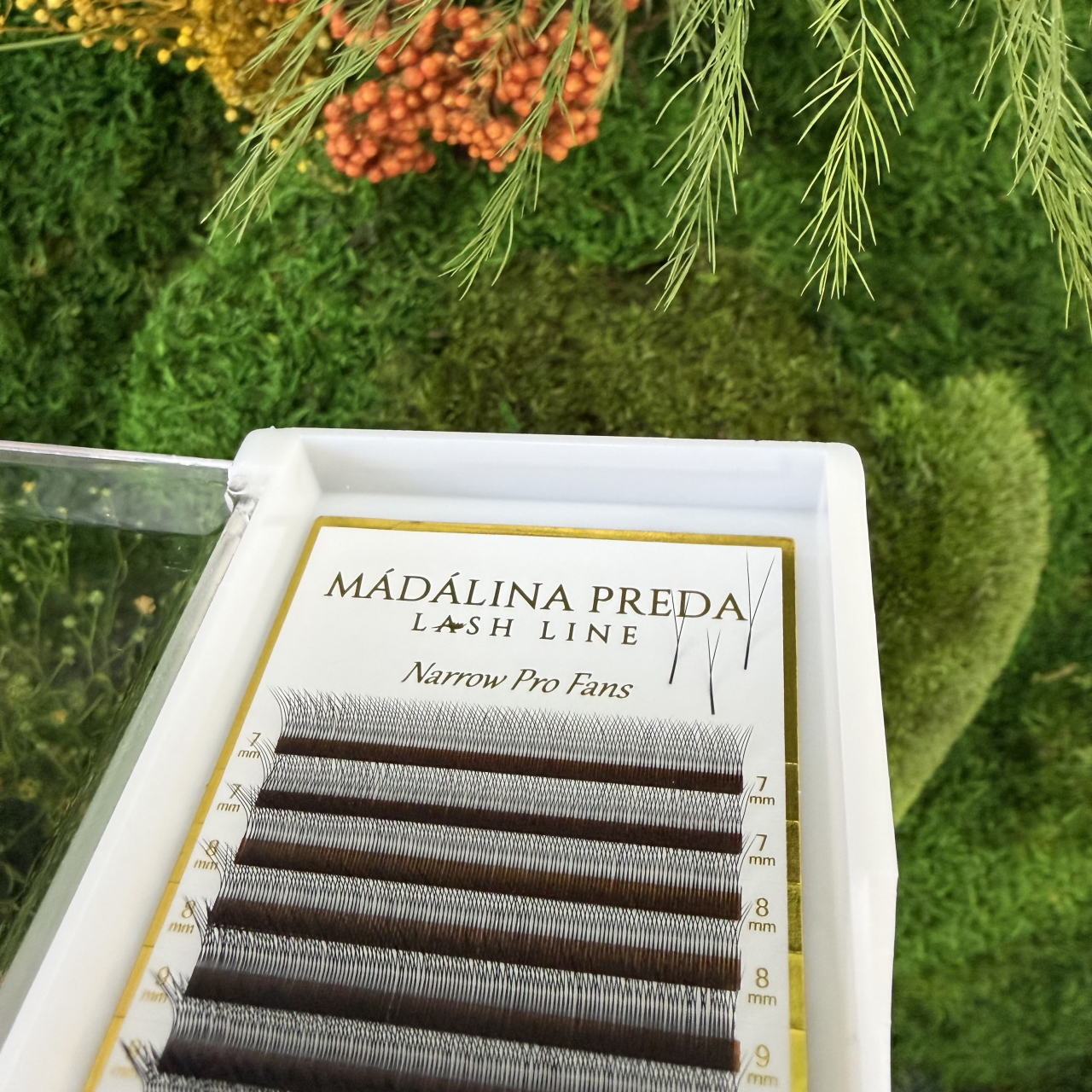 Premade Y 2D | D | Nedublat [2]