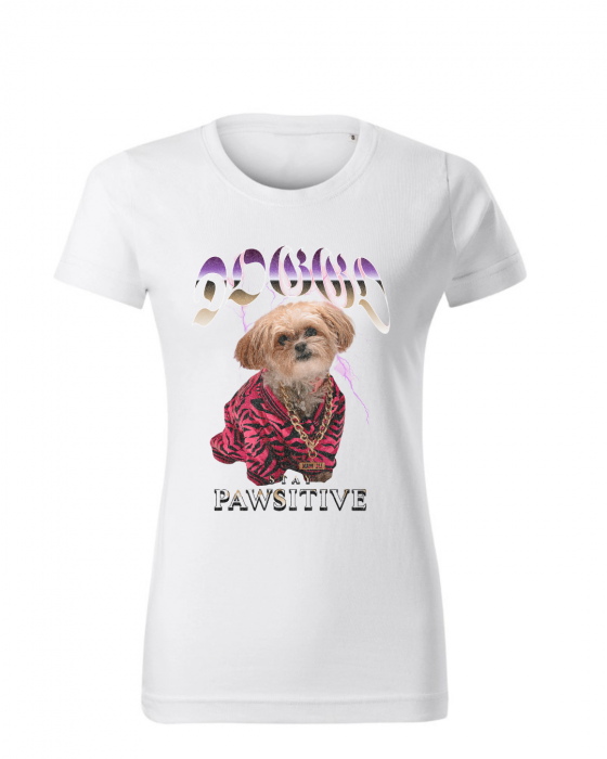 Pawsitive [2]