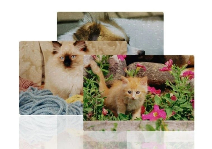 Puzzle personalizat A4 [3]