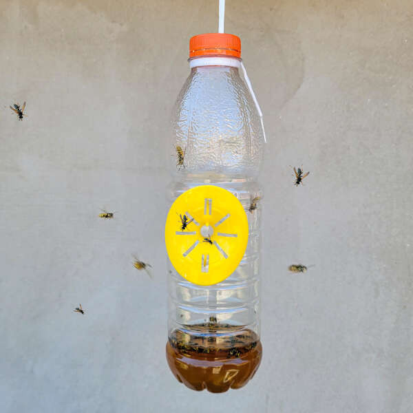 Leziter Capcană pentru insecte de grădină Catchix [1]