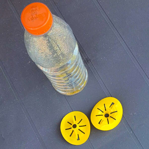 Leziter Capcană pentru insecte de grădină Catchix [3]