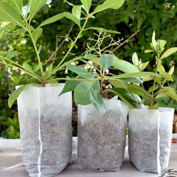 Instrument plantare - Leziter Saci Lookgrow pentru răsaduri