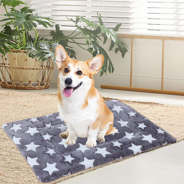 Pături, cuverturi - Leziter Covor Snugly Ultrasoft pentru animale de companie