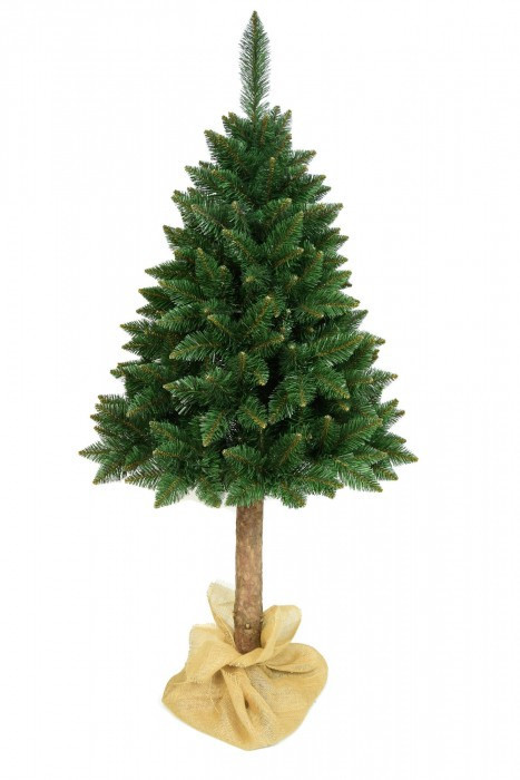 Sezonier - Mirpol Brad de munte 160 cm