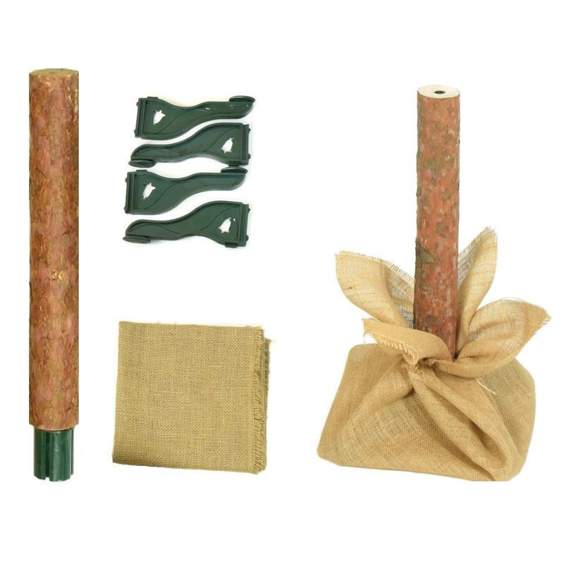 Mirpol Brad de munte 160 cm [3]