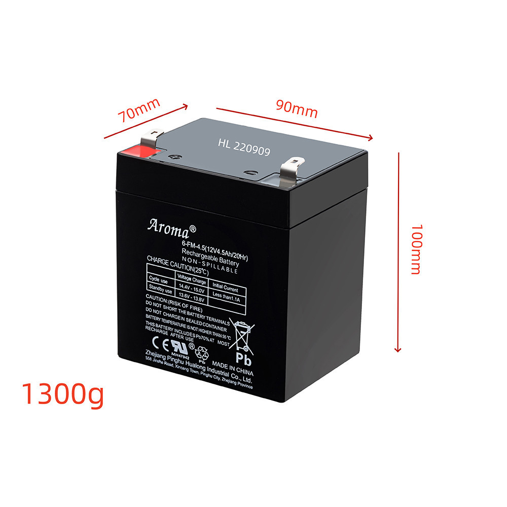 Leziter Baterie auto electrică 4,5 AH [1]