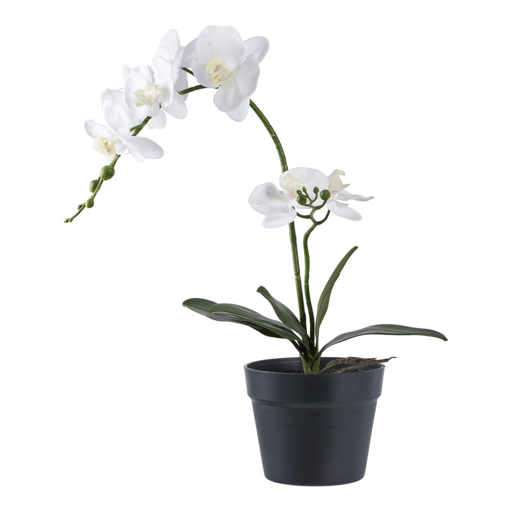 Plante artificiale - House Nordic Orhidee plantă artificială 49 cm