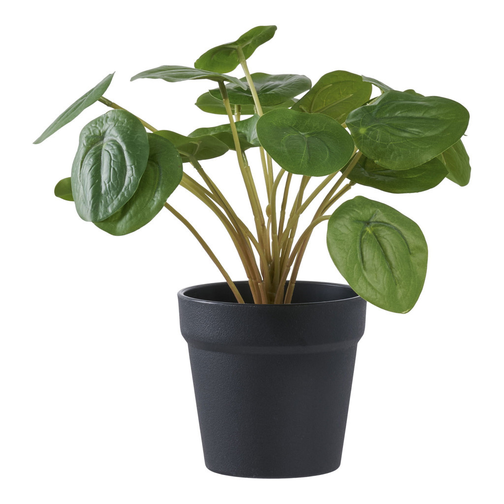 Plante artificiale - House Nordic Pilea plantă artificială 28 cm