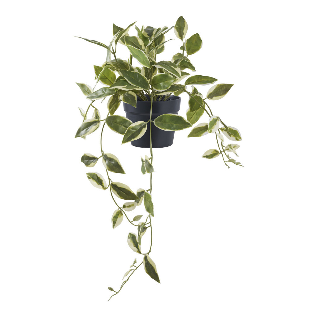 Plante artificiale - House Nordic Floare de ceară artificială 33 cm