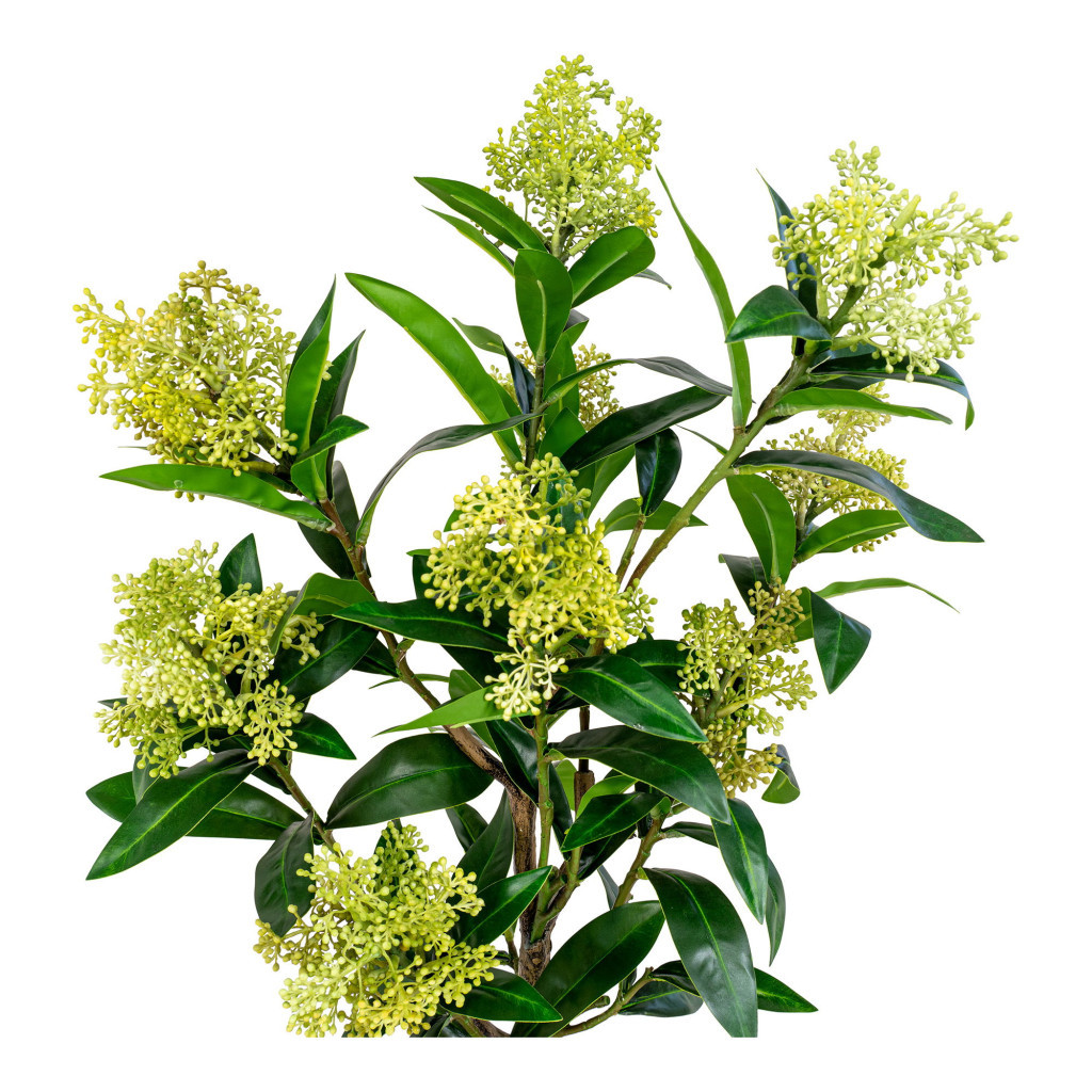House Nordic Skimmia lemn plantă artificială 75 cm [3]