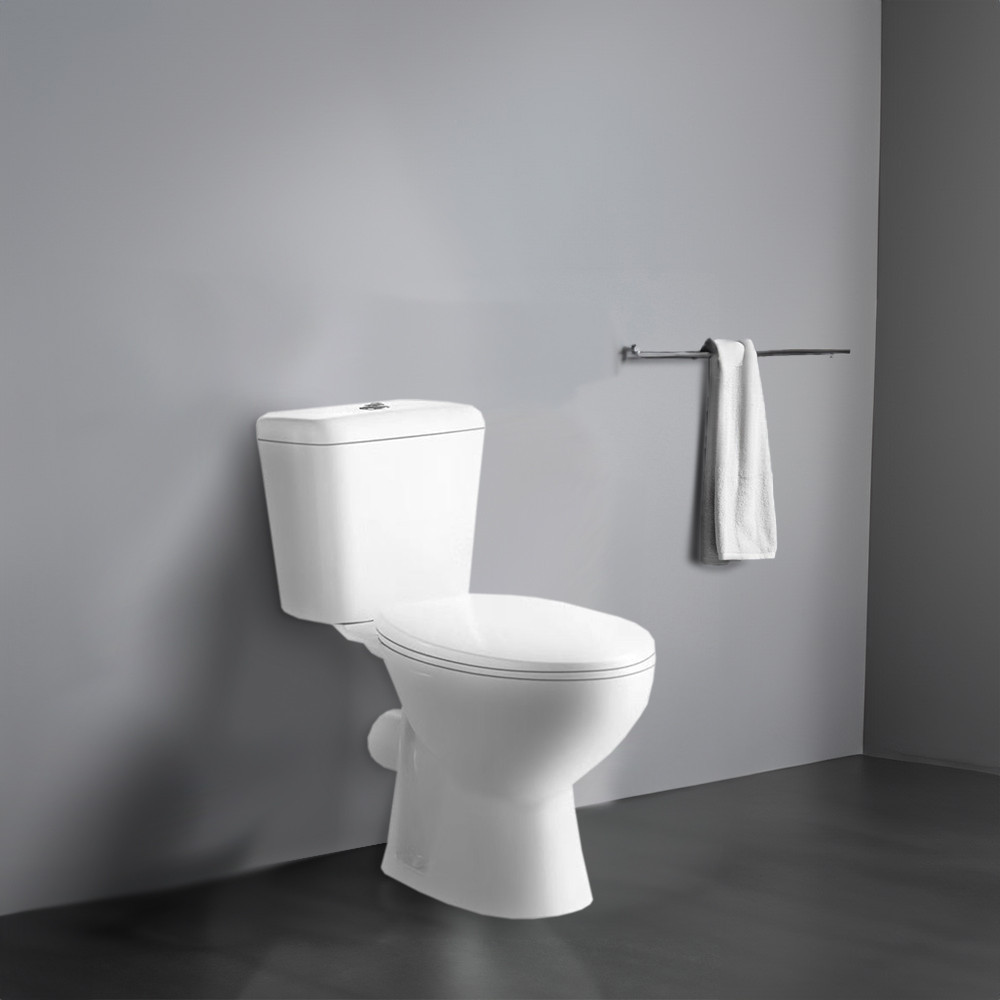 Leziter Toaletă monobloc Cleano cu evacuare spate și scaun [1]