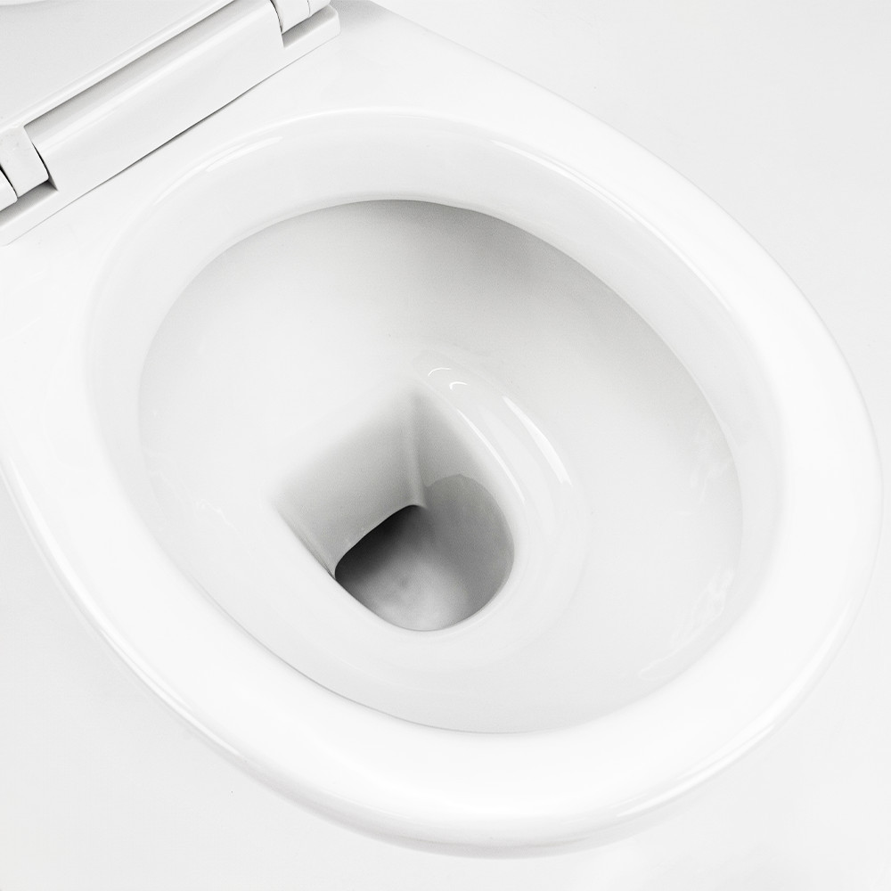 Leziter Toaletă monobloc Cleano cu evacuare spate și scaun [4]