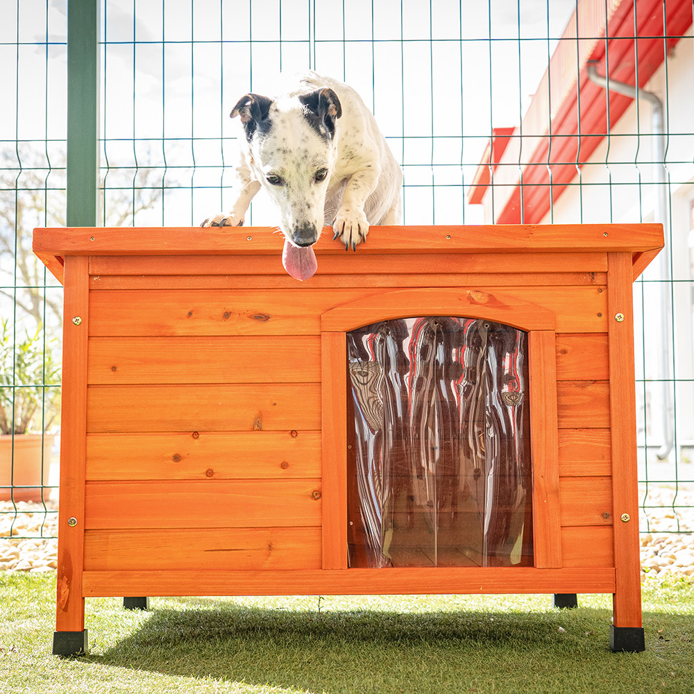 Leziter Casă de câine Smiley Basic [4]