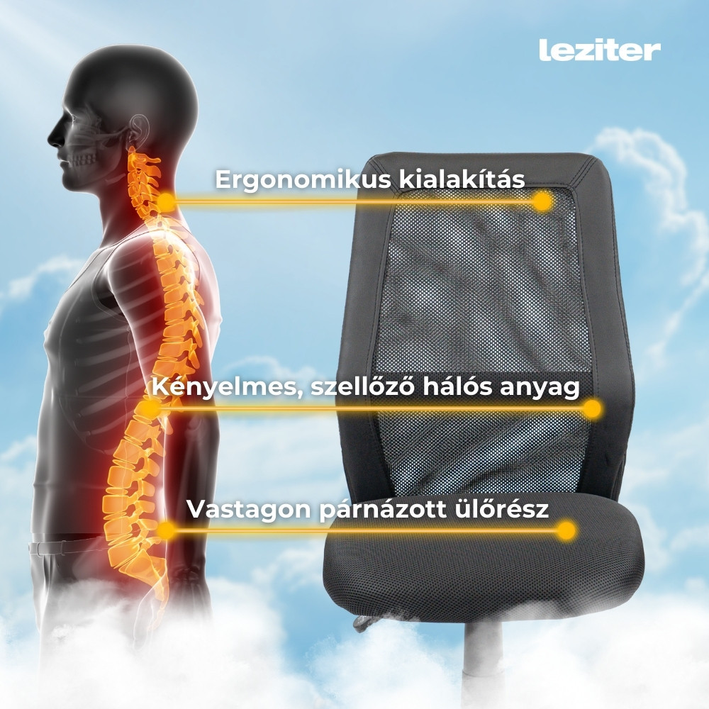 Leziter Scaun rotativ de birou Tim [4]