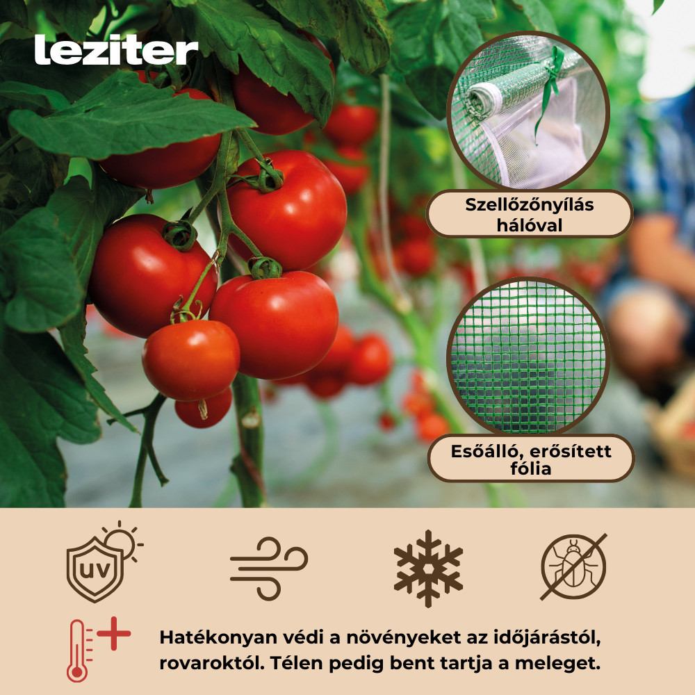 Leziter Cort din folie 200x250x400 cm, cadru din folie [4]