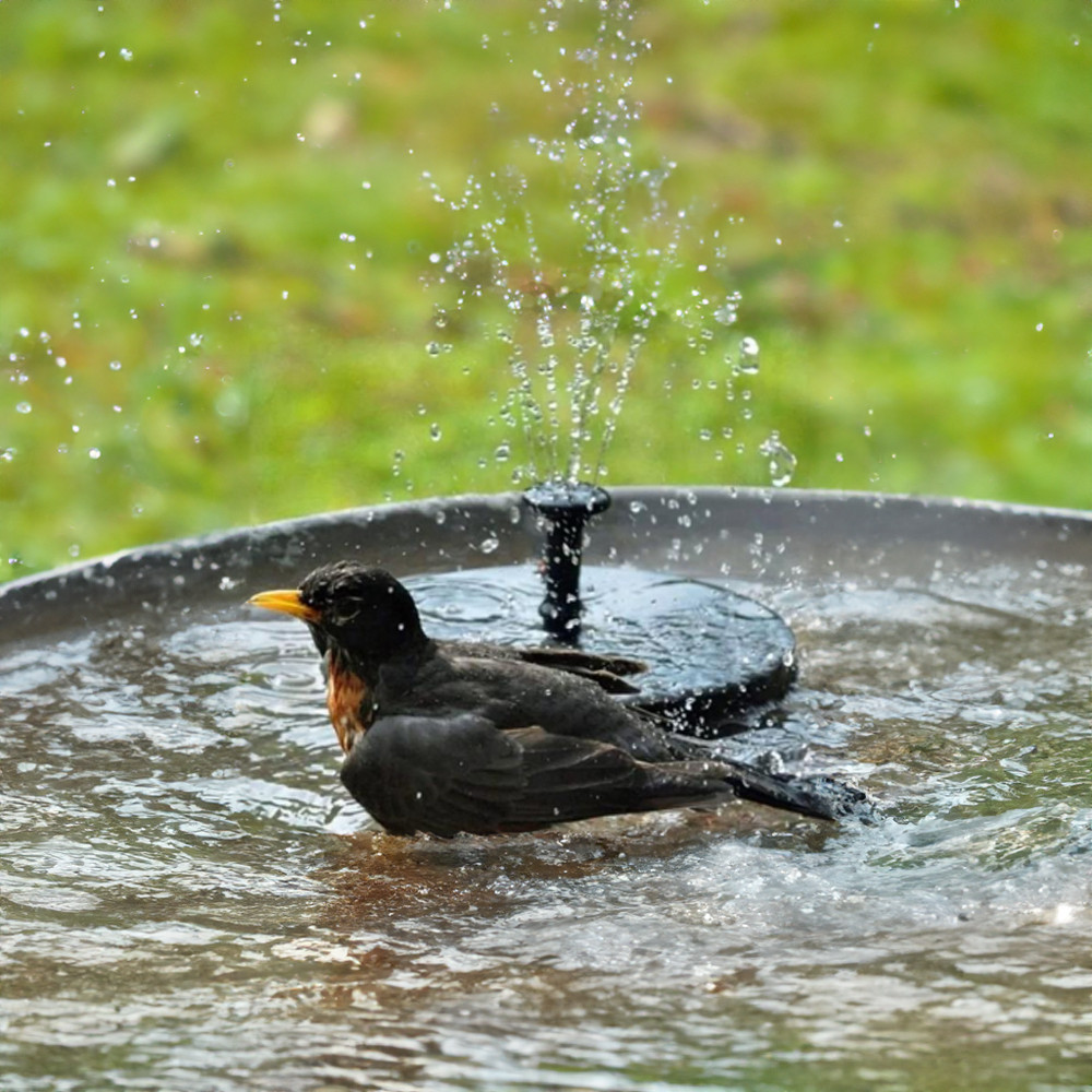 Leziter Fântână solară 13 cm [3]