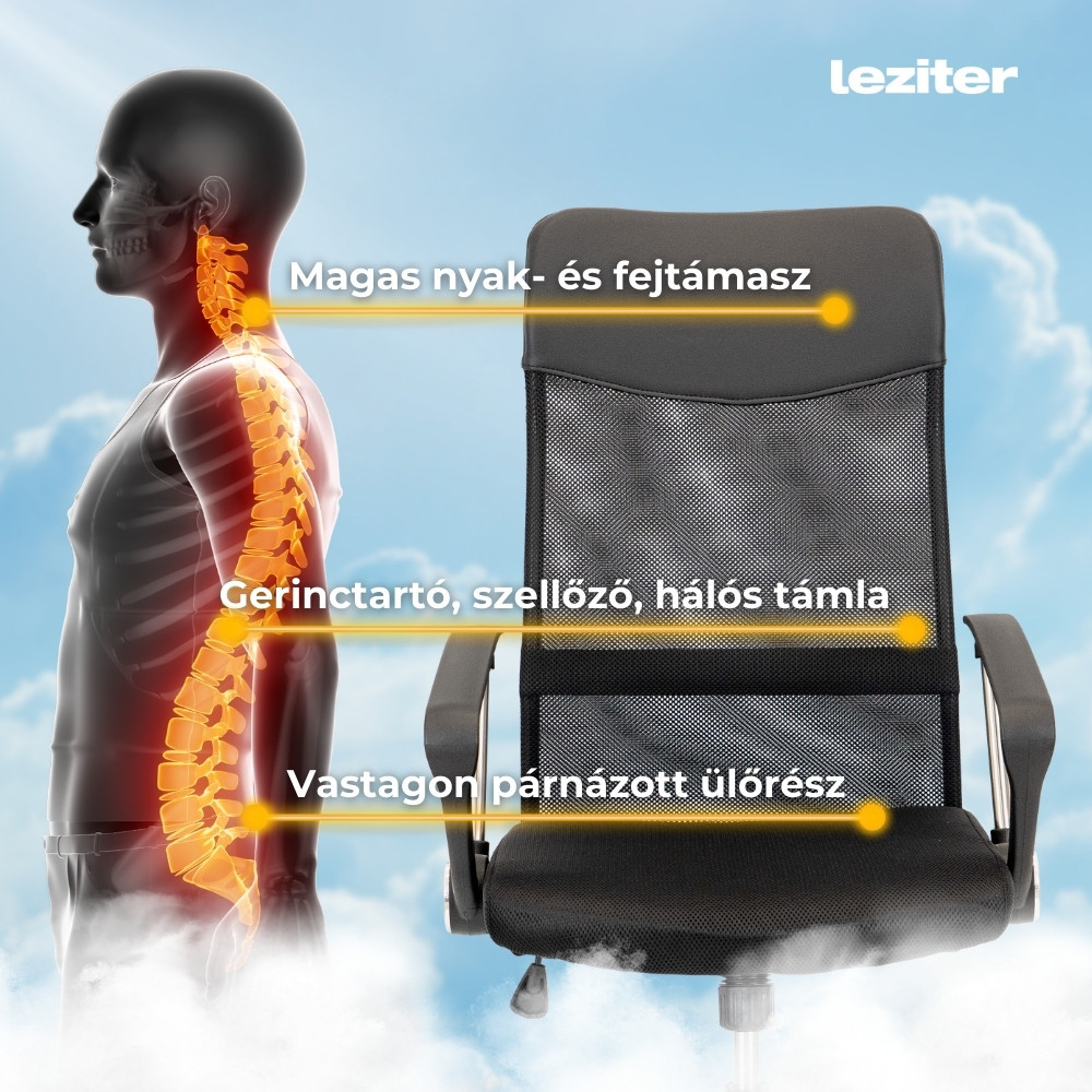 Leziter Scaun rotativ ergonomic de birou Fit [5]