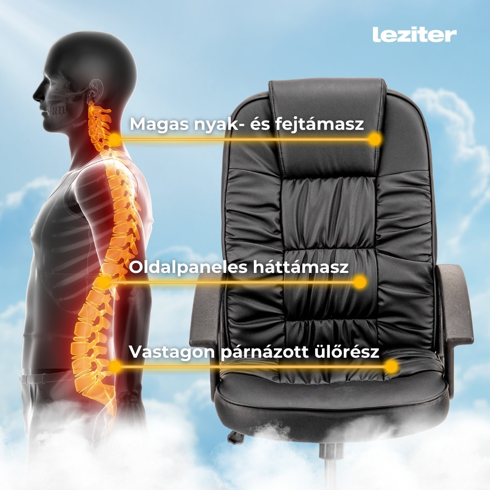 Leziter Scaun rotativ de birou Bristol [5]