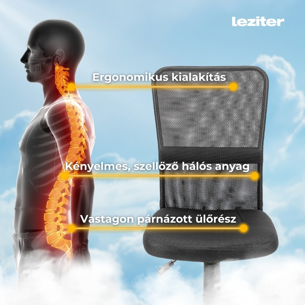 Leziter Scaun rotativ de birou [4]