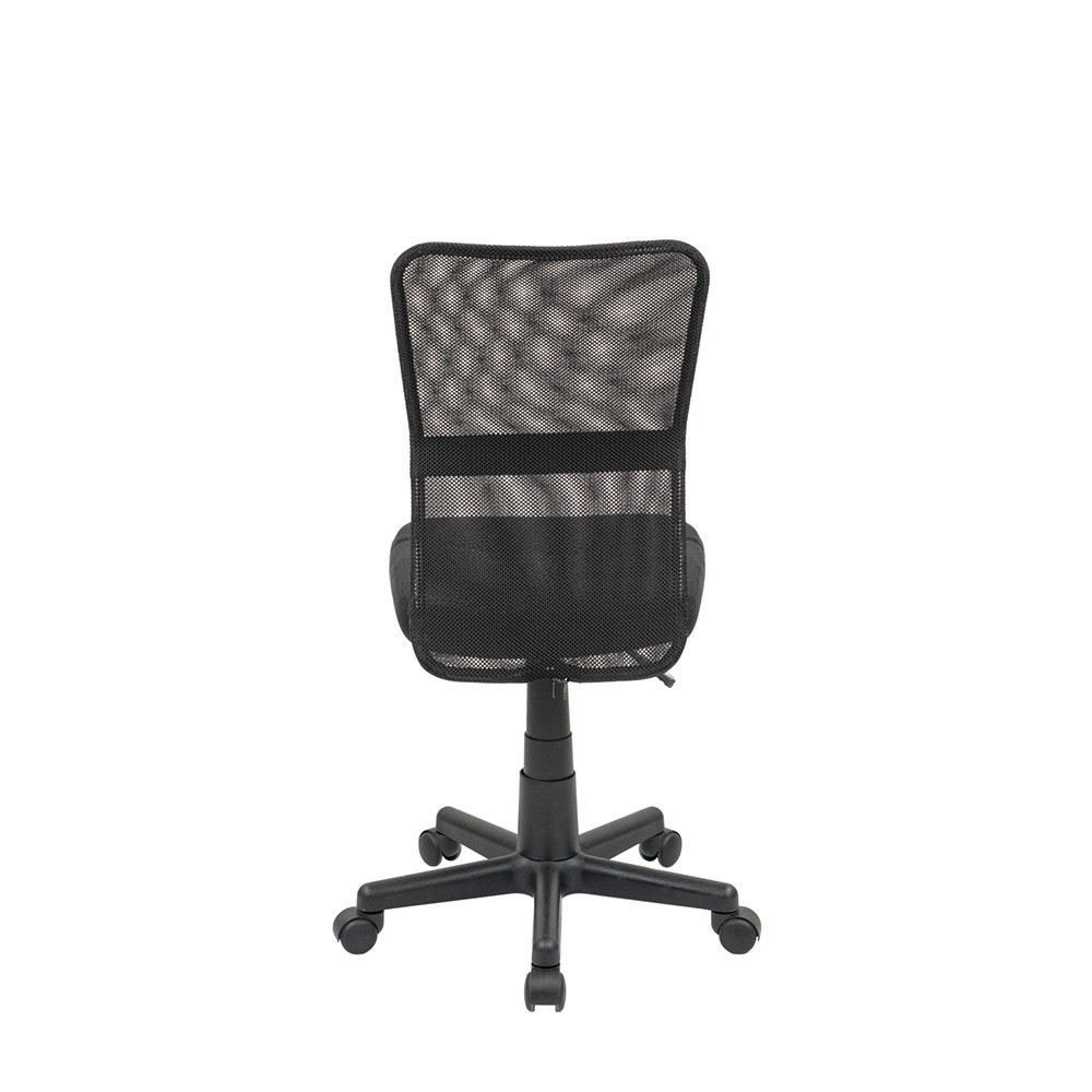 Leziter Scaun rotativ de birou [9]