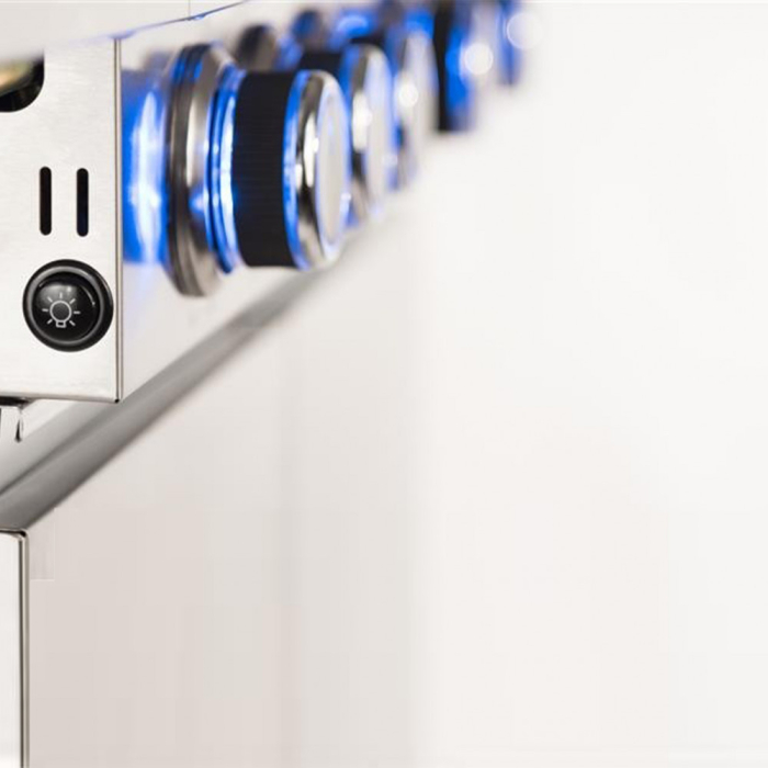 Al-Ko Grătar BBQ S/S4 [4]