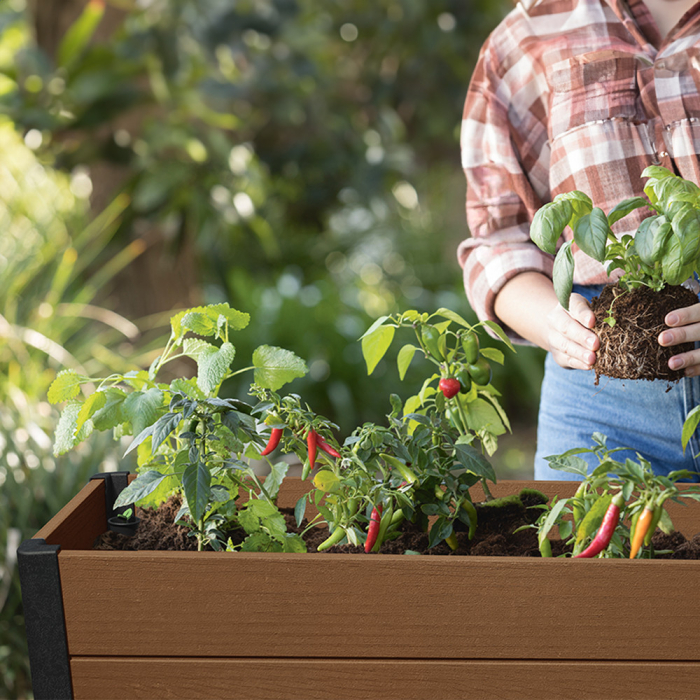 Curver Cutie de flori din plastic Darwin pentru grădină, RPO [5]